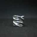 Глоток Разума, серебряное кольцо